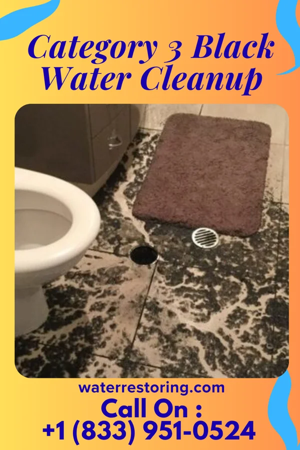 Category 3 Black Water Cleanup in Ireton, IA