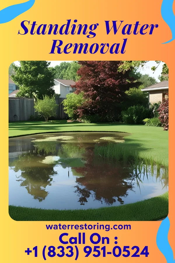 Standing Water Removal in Ireton, IA